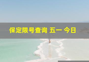 保定限号查询 五一 今日